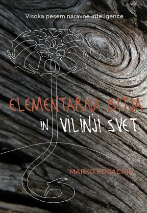 Elementarna bitja in vilinji svet